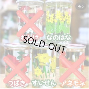 画像1: 【高知酒造】 瀧嵐  土佐路 特別本醸造  花柄カップ180
